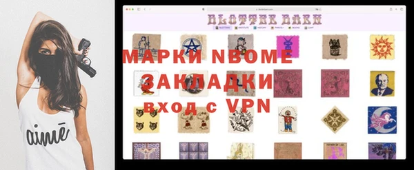 гашик Сосновый Бор