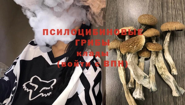 гашик Сосновый Бор