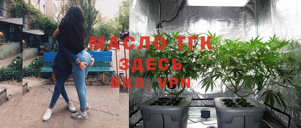 гашик Сосновый Бор