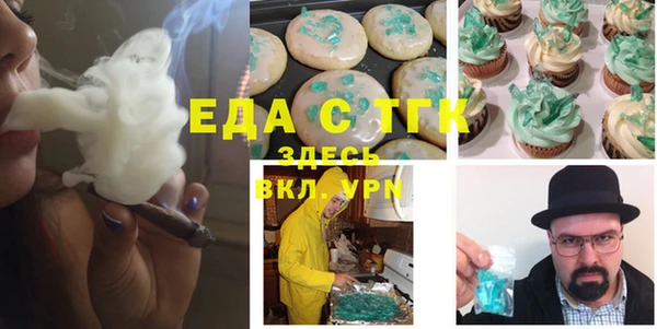 гашик Сосновый Бор