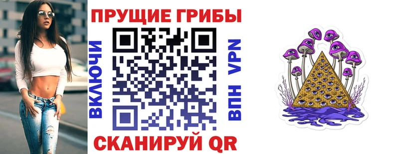 Псилоцибиновые грибы Cubensis  Карасук 