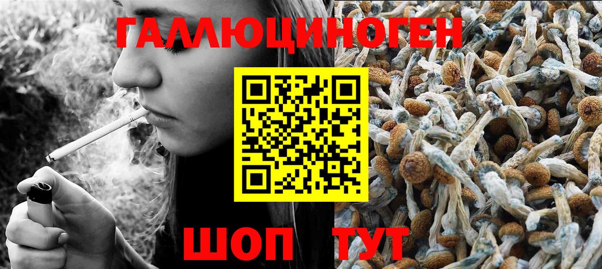 Псилоцибиновые грибы мухоморы  Вход с VPN  Карасук 