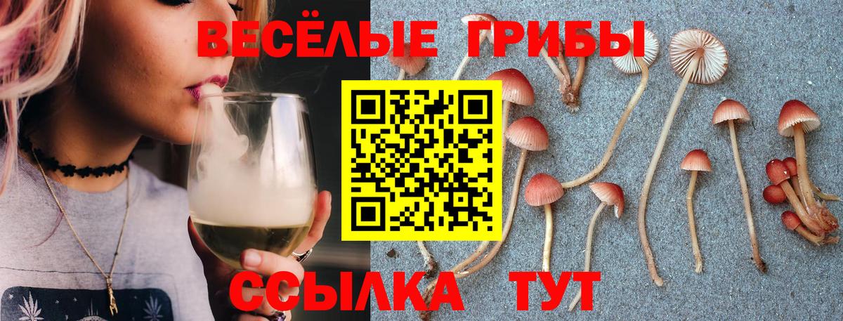 Галлюциногенные грибы мухоморы Карасук
