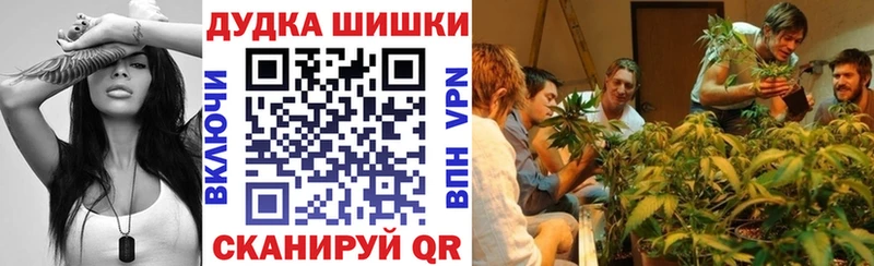МЕГА ТОР  Карасук  Бошки марихуана семена 